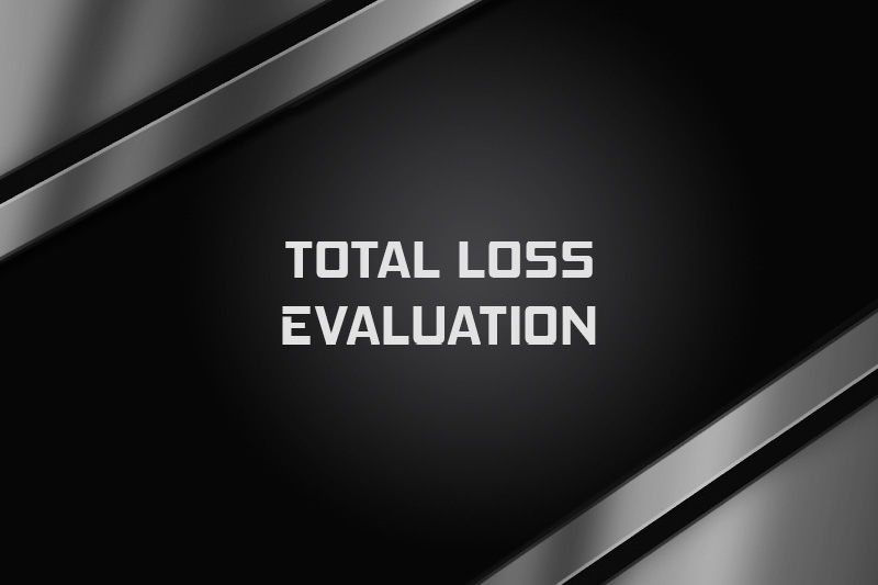 Total Loss Evaluation